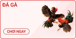 sảnh đá gà mb66